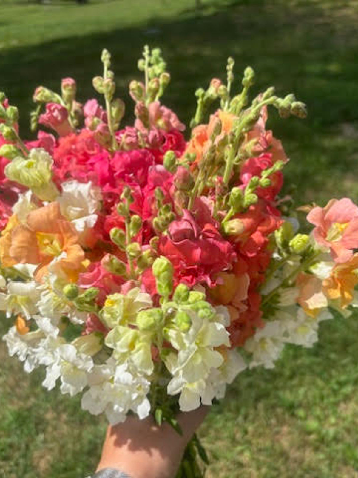 Farm bouquet